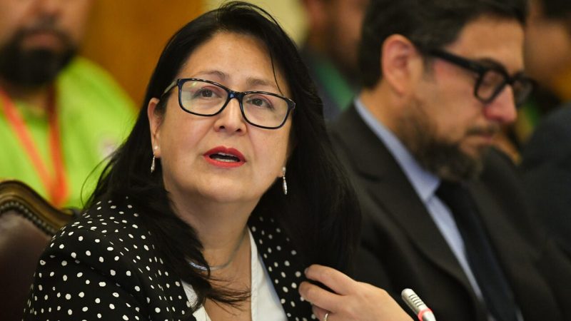 Escándalo por licencias médicas: el detalle de las platas perdidas en la Junji que reveló Contraloría
