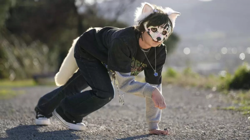 “Quiero ser un perro”: Qué hay detrás de los therians, la moda de identificarse con los animales y la reflexión de Chomali