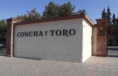 Cómo Viña Concha y Toro consolidó su liderazgo en la industria de vinos en Brasil