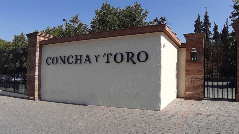 Cómo Viña Concha y Toro consolidó su liderazgo en la industria de vinos en Brasil