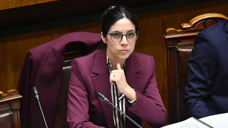 Ministra Toledo (Medio Ambiente) : “Hay muchos plazos de evaluación ambiental completamente excedidos”