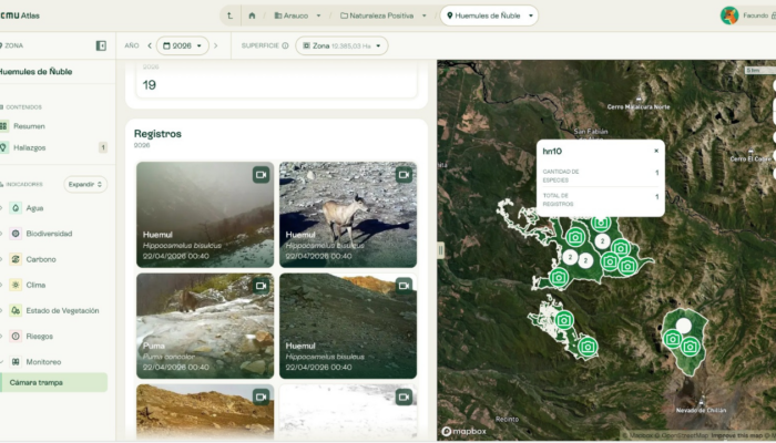 ARAUCO pone a disposición pública datos de biodiversidad a través de Lemu-Atlas