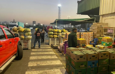 Crónica: amanecer en el Mercado Lo Valledor, el pulmón agrícola de Santiago que nunca duerme