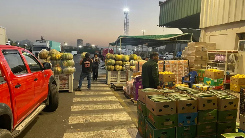 Crónica: amanecer en el Mercado Lo Valledor, el pulmón agrícola de Santiago que nunca duerme
