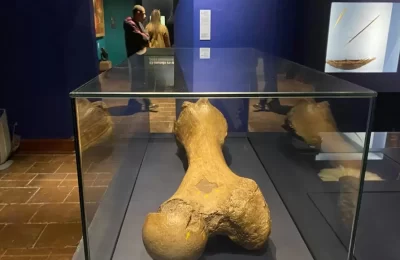 Crónica: La invaluable colección del Museo Histórico Nacional y la amenaza que hay sobre su legado
