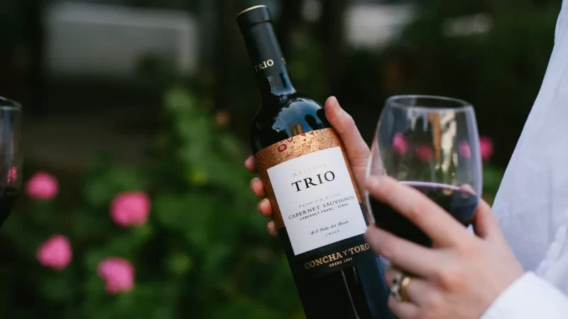 La fórmula de Concha y Toro para esquivar la crisis del vino y escalar al tercer lugar mundial por valor de ventas